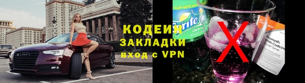 apvp Вяземский