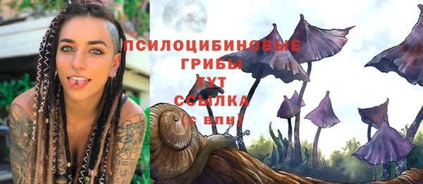 соль курить ск Гусь-Хрустальный